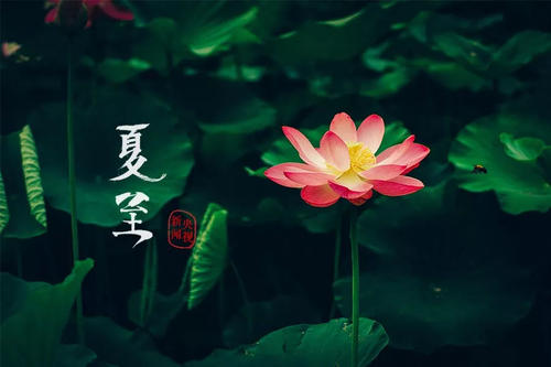 夏至風(fēng)俗活動(dòng)有哪些 夏至風(fēng)俗活動(dòng)有哪些